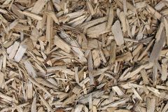 biomass boilers Chaddesden